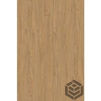 Élzáró [18] Paleo tölgy 5527