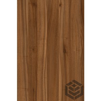 Élzáró [38] Lyoni dió 508 FS15