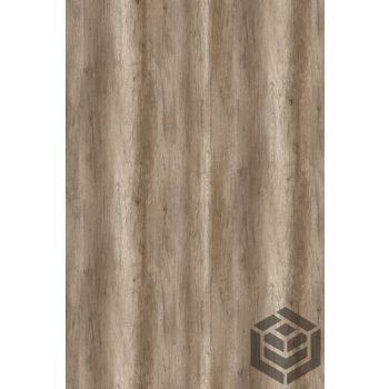 Élzáró [18] Canyon tölgy 588 FS22