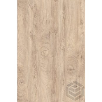 Munkalap Latte Avignon tölgy (Elegáns Bütüs) K107FP