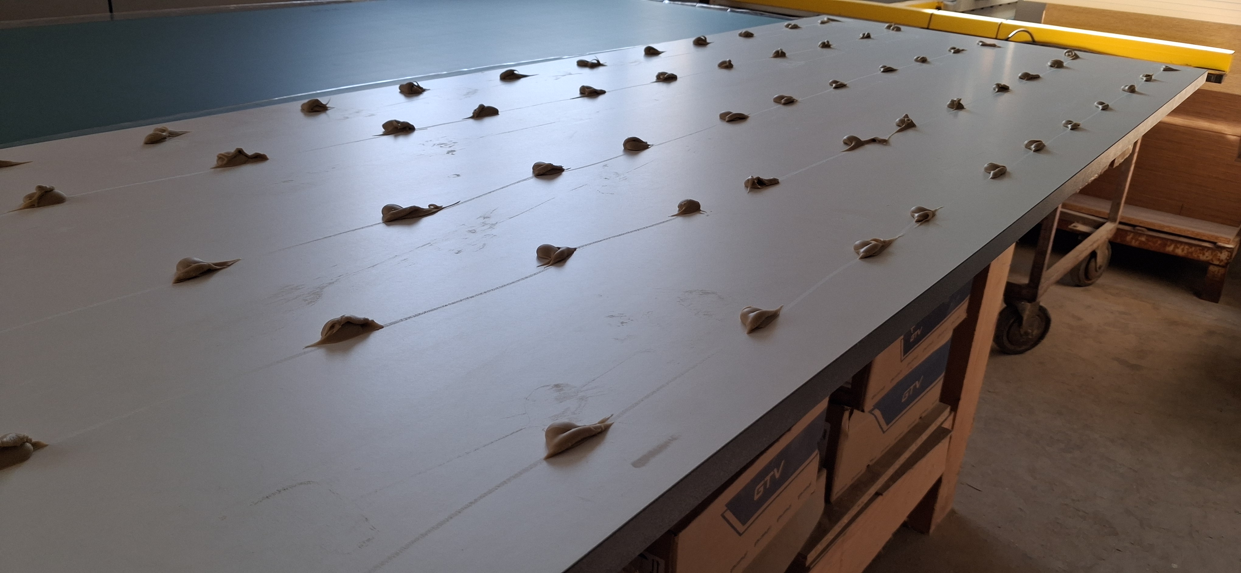 Tükör felragasztása bútorajtóra